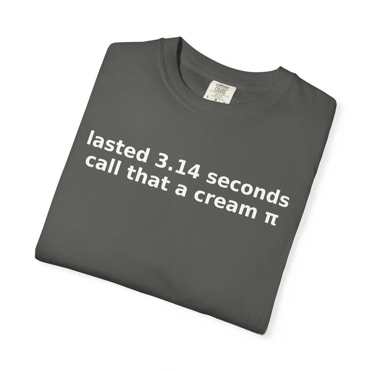 Lasted 3.14 Seconds Funny Graphic Tee – Comfort Colors Adult Humor Shirt