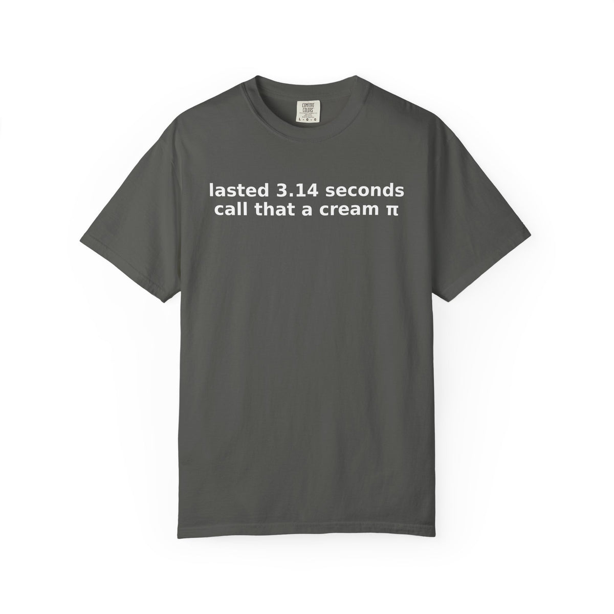 Lasted 3.14 Seconds Funny Graphic Tee – Comfort Colors Adult Humor Shirt