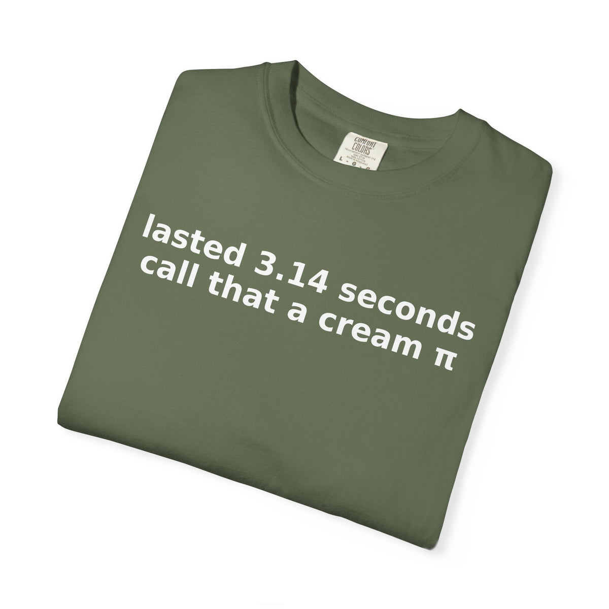 Lasted 3.14 Seconds Funny Graphic Tee – Comfort Colors Adult Humor Shirt